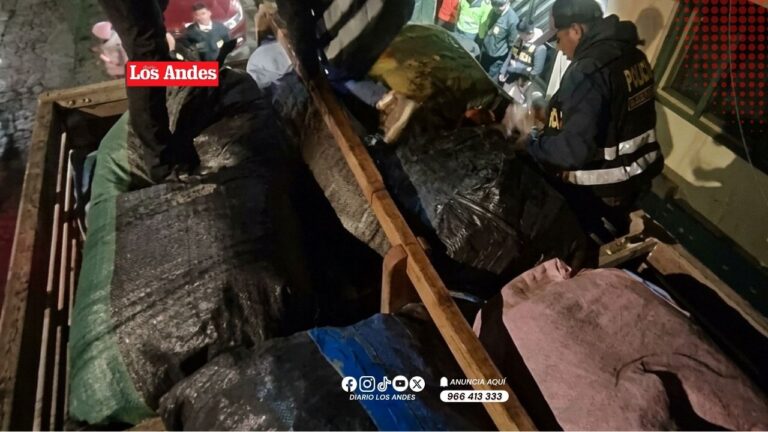 Condenan en Juliaca a transportista por trasladar mercancía de contrabando