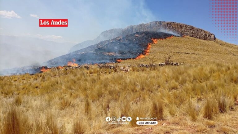 La región Puno registra 111 incendios forestales en lo que va del 2026