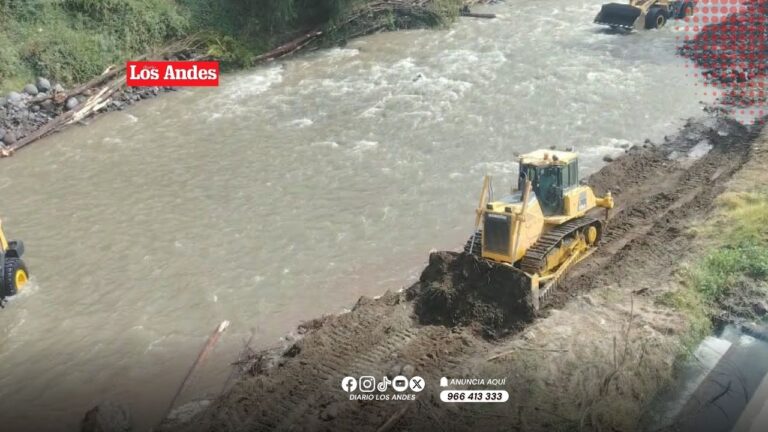 MPA tras tala de árboles en el río Chili: “Todo se realiza según ficha técnica del ANA”