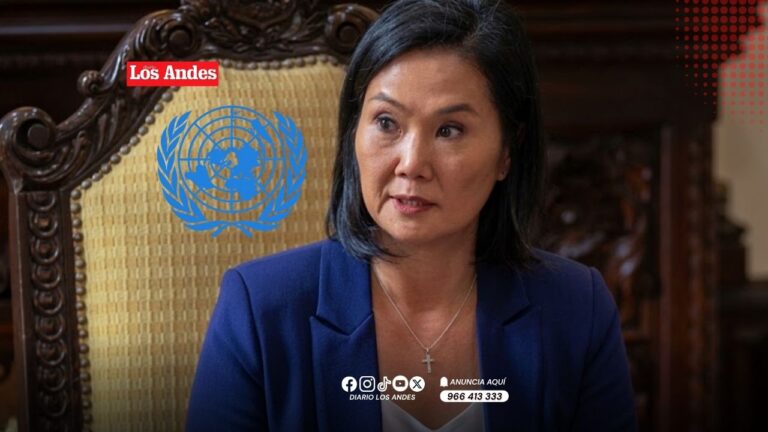 Relatores de la ONU advierten riesgos en pedido de facultades legislativas del Ejecutivo