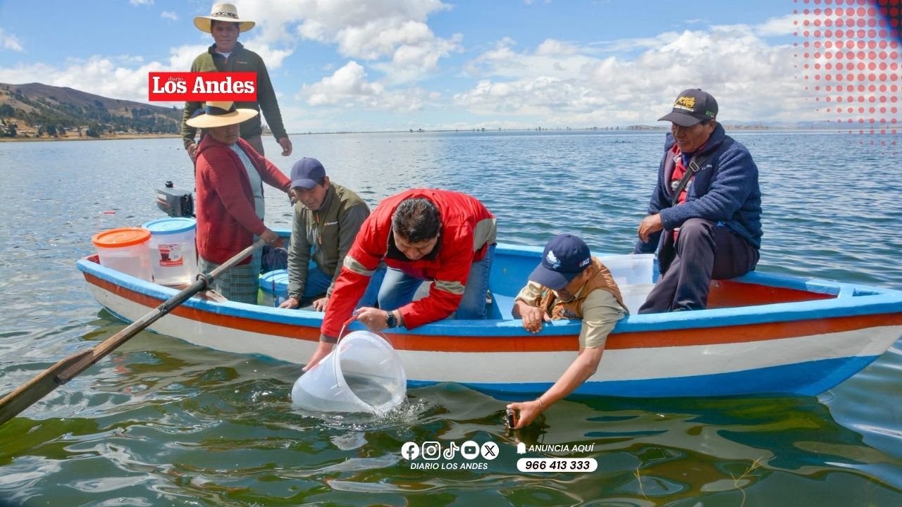 Peru: Authorities stock Lake Arapa with 50,000 mauri fish
